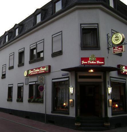 Hotel Zum Dicken Baum 马延 外观 照片
